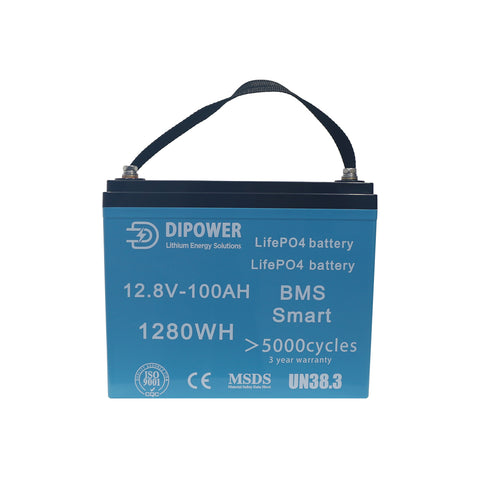 Wholesale Portable Lifepo4 battery 12v 24v 100ah rechargeable Lithium ion Lifepo4 batteries