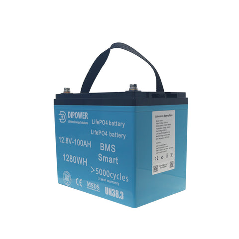 Hot Sales Portable Lifepo4 battery 12v 24v 100ah rechargeable Lithium ion Lifepo4 batteries